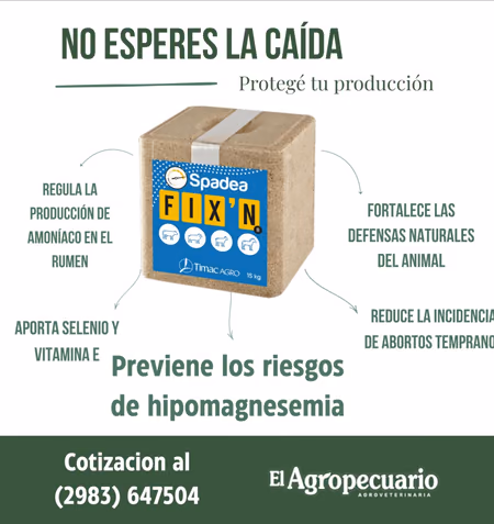 Inicio Publicidad 29