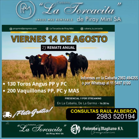 Inicio - Publicidad 11