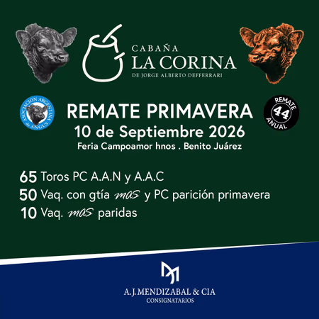 Publicidad Final Home