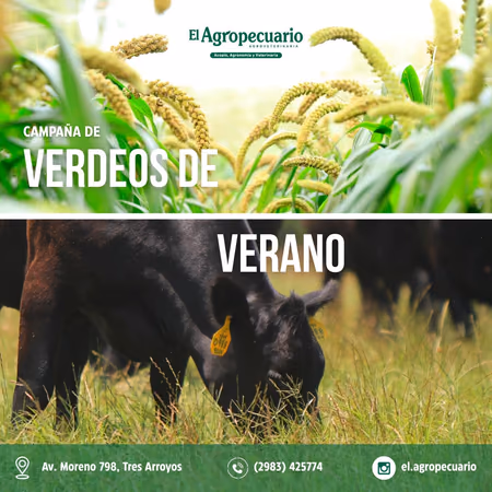 Inicio -  Publicidad 15