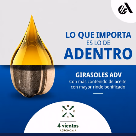 Inicio - Publicidad 3