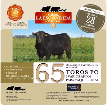 Inicio - Codigo P8 NO CAMBIAR